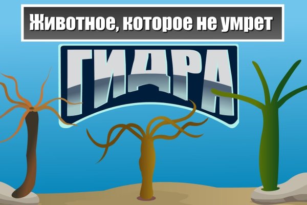 Зеркало омг омг тор